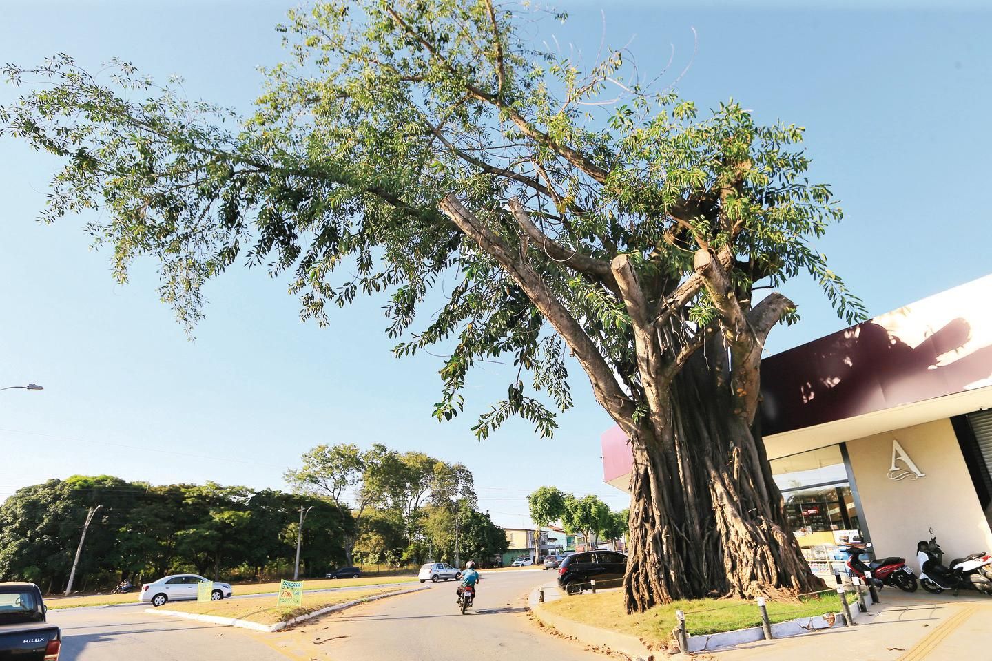 Moradores e comerciantes da Liberdade fazem críticas e pedem