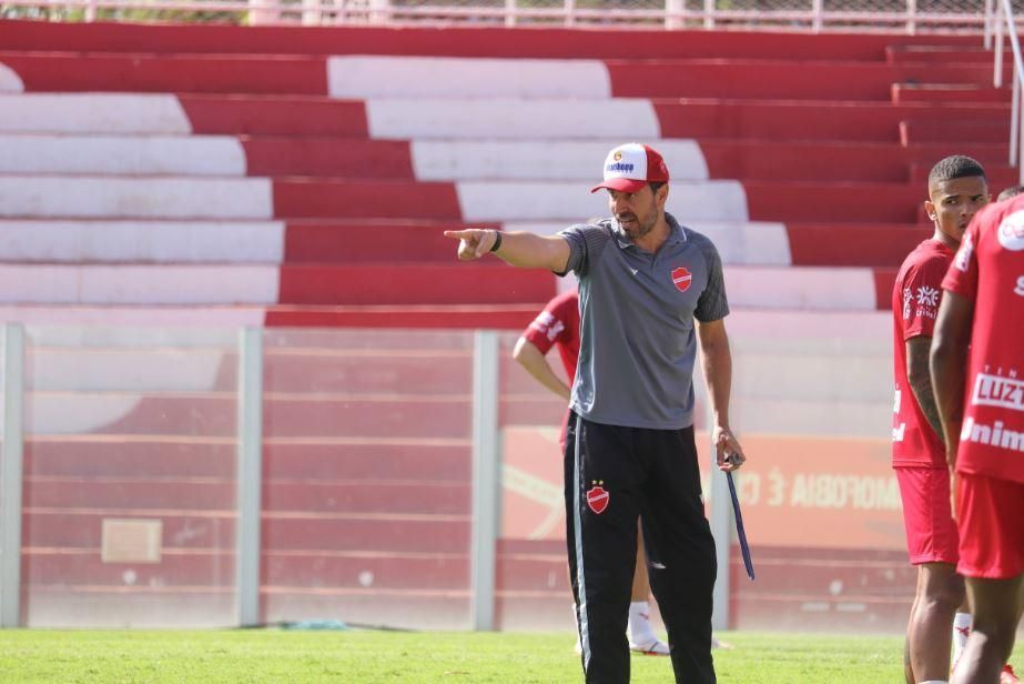 Libertadores: capixabas estão ansiosos para a partida entre Flamengo x  Palmeiras - Louca por Esportes