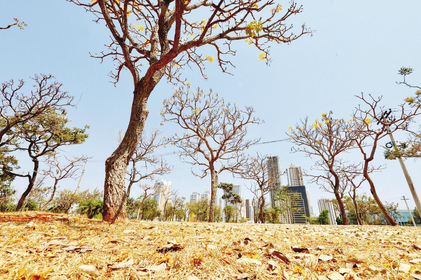 DF emite alerta para queimadas até o fim do período de seca na região