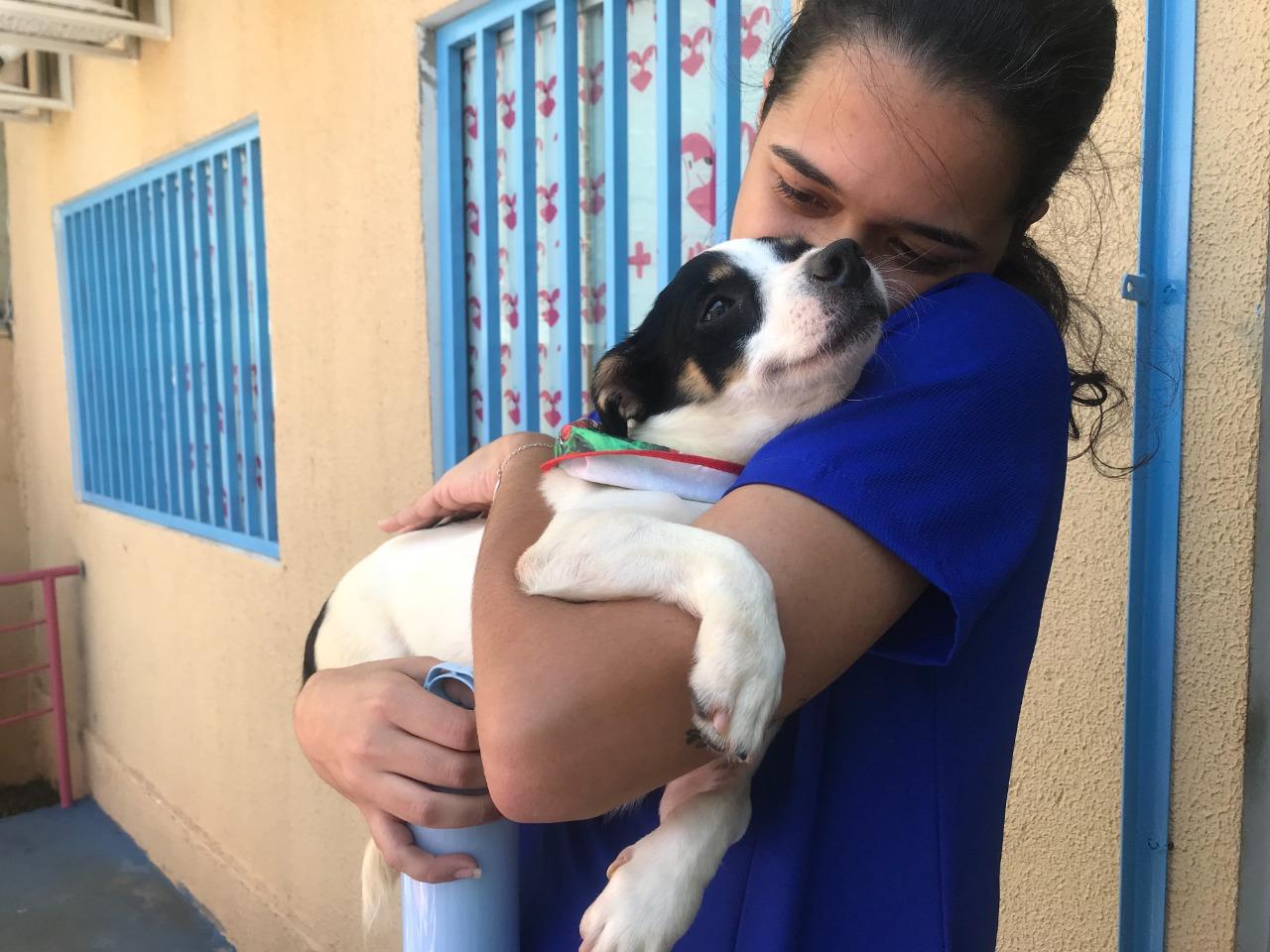 Atividades esportivas para cães ganham espaço no Brasil