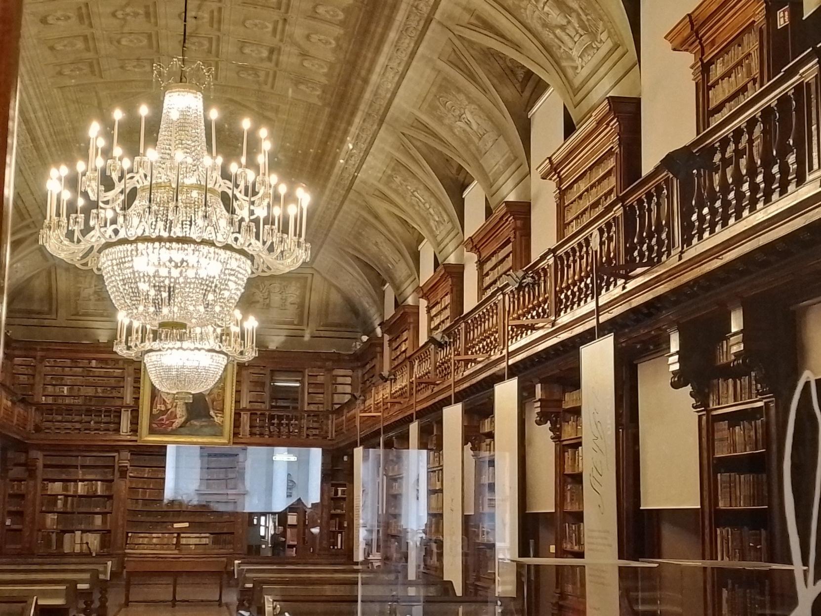 Biblioteca de Alexandria: conheça a história desse tesouro!