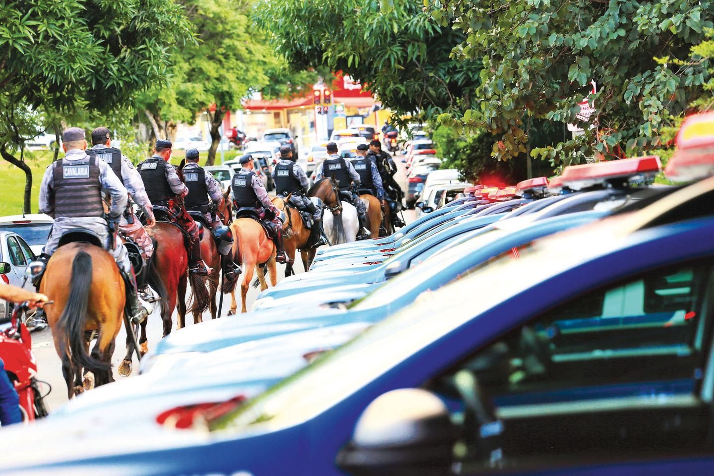 Conheça um pouco mais sobre a Cavalaria da Polícia Militar - SSP