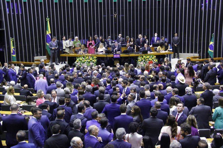 DF1  Cavalo é pintado com tinta durante atividade na Hípica de