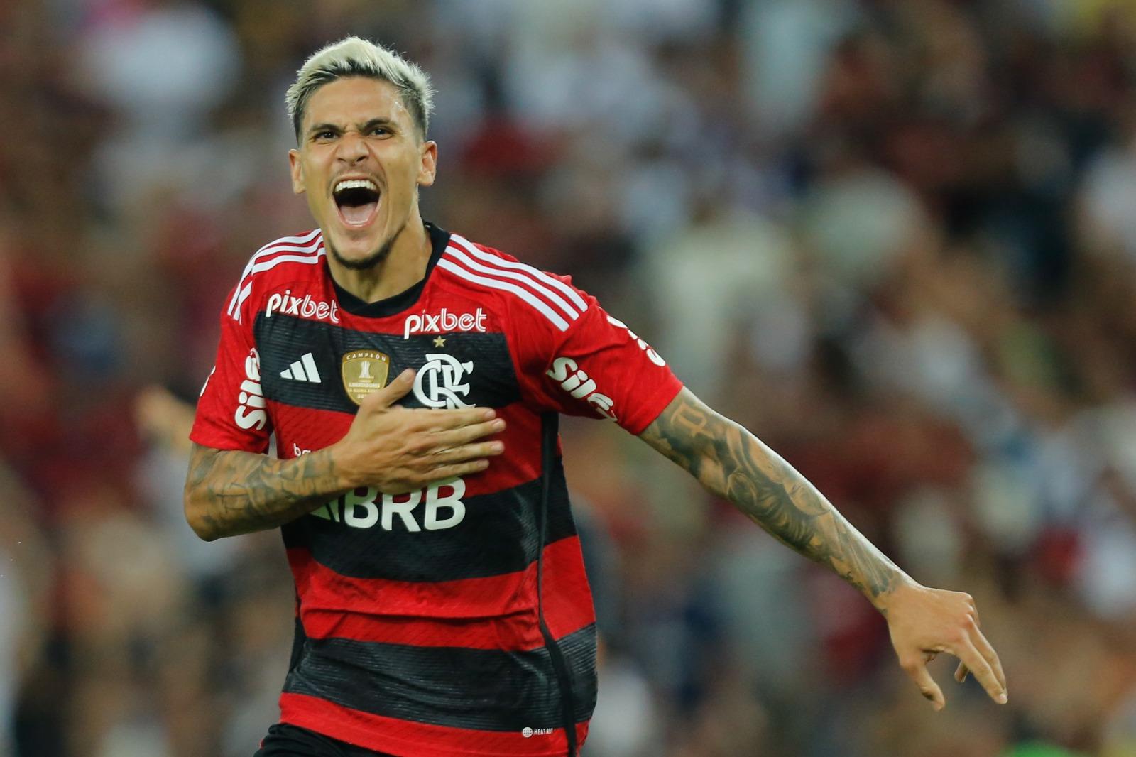 Foto mostra lance de Capasso que originou o pênalti do Flamengo