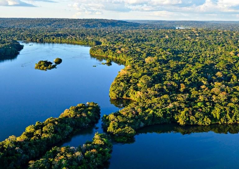 Foto conservada em estoque de uma imagem da vila da floresta do