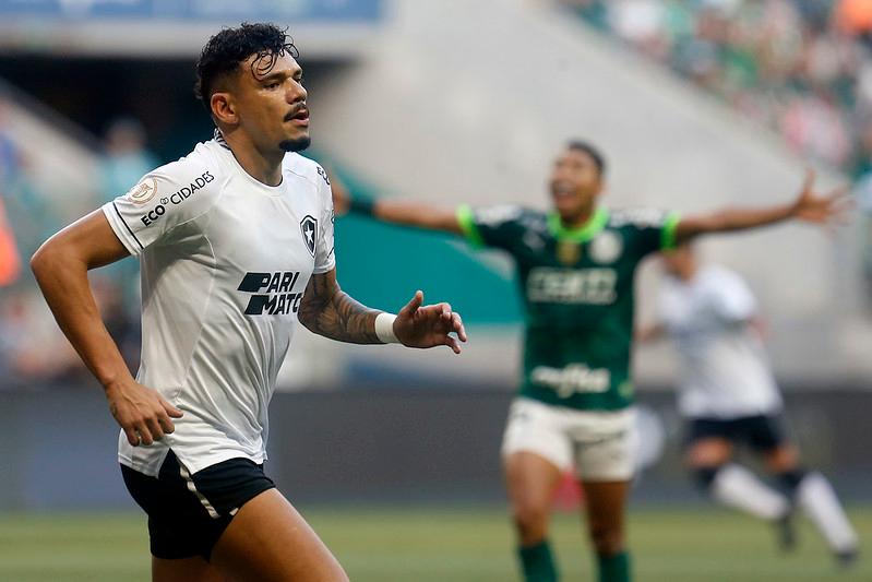 Com empate do Botafogo, Palmeiras confirma liderança do Brasileirão  restando quatro rodadas