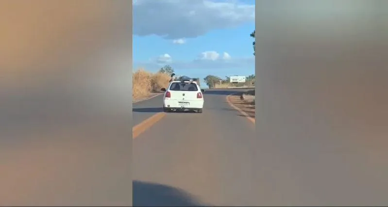 Carro de funerária bate de frente com ônibus e mata motorista em rodovia de  Goiás, Goiás