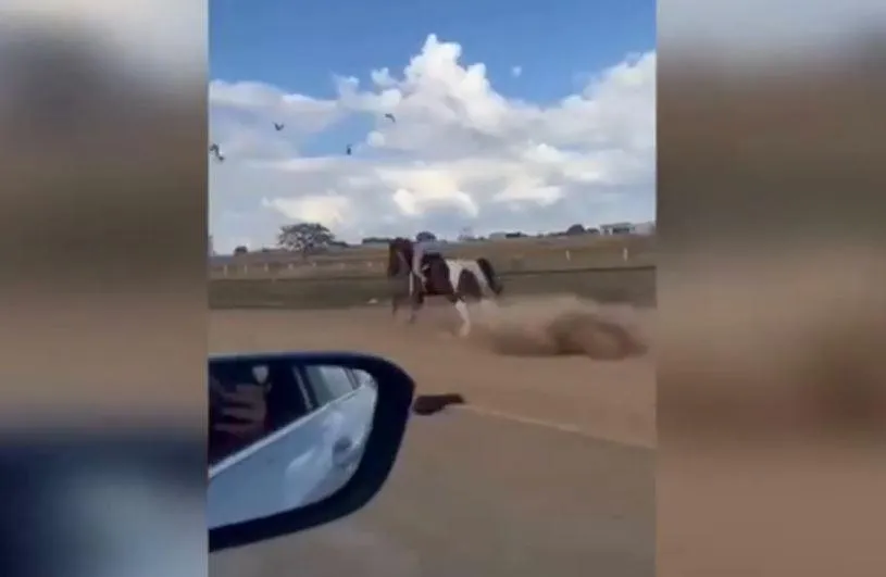 Uma pessoa andando a cavalo está pulando uma cerca.