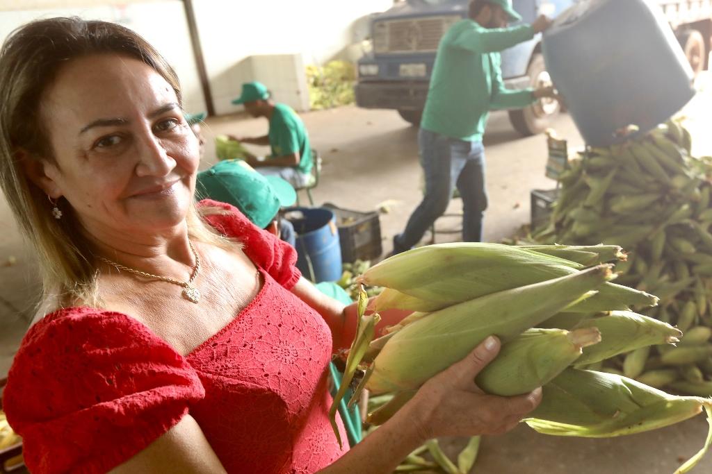 Influencer americano que bombou na web ao experimentar pamonha com palha do  milho traduz gírias goianas; vídeo, Goiás