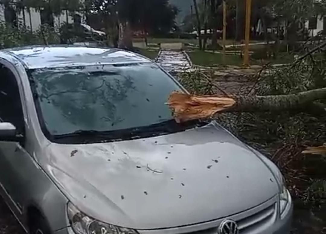 Vídeo mostra quando homem pula em piscina durante temporal e antena de TV  cai na água, em Goiânia | O Popular