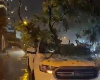 Chuva com muitos raios na noite de segunda para terça-feira assusta  moradores e derruba árvores