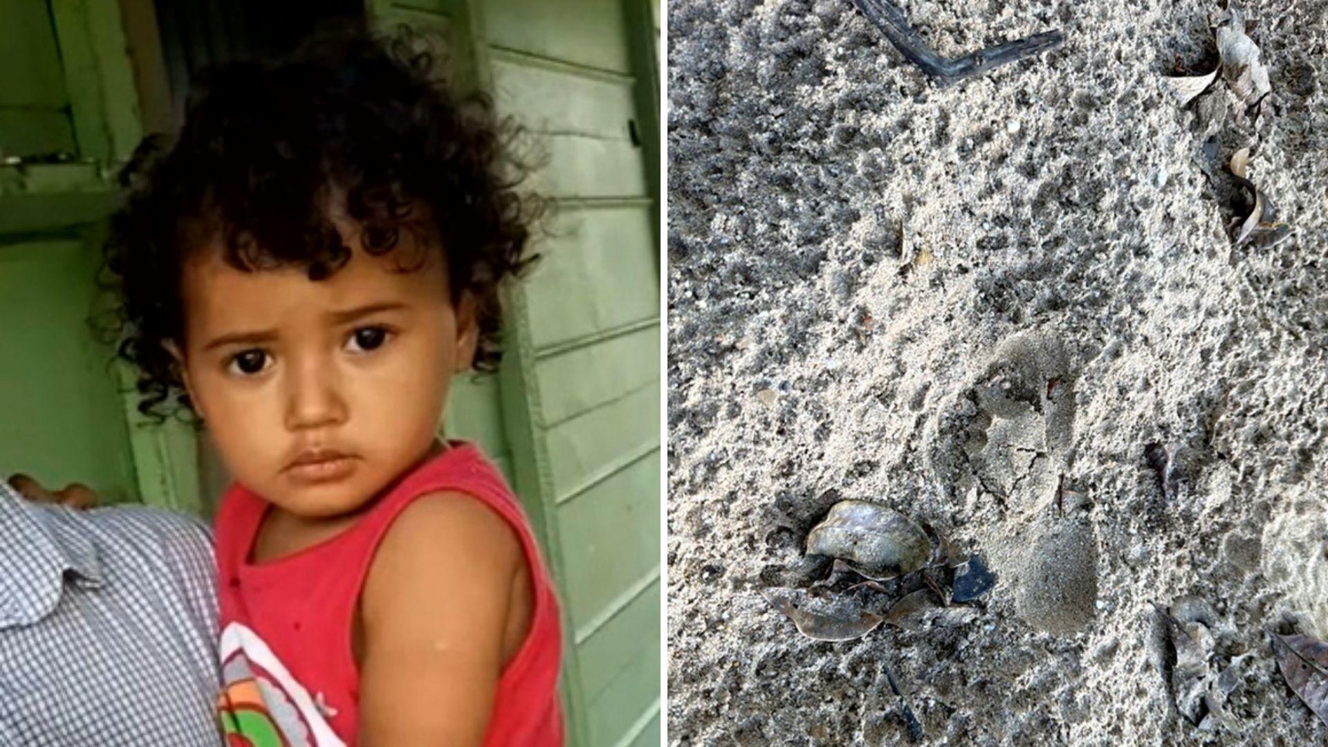 Menina desaparecida: pegadas são achadas em estrada próxima a fazenda onde menina sumiu em Doverlândia | O Popular
