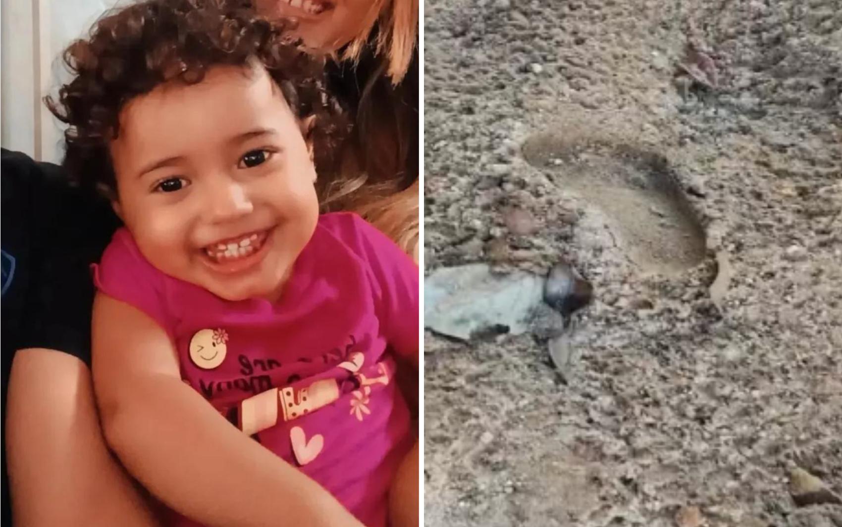 Menina encontrada morta em fazenda: polícia descarta envolvimento de terceiros | O Popular